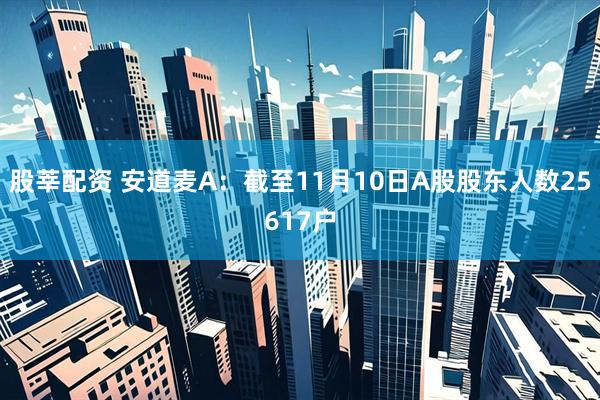 股莘配资 安道麦A：截至11月10日A股股东人数25617户