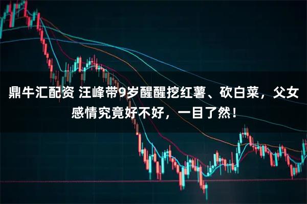 鼎牛汇配资 汪峰带9岁醒醒挖红薯、砍白菜,父女感情究竟好不好,一目了然!