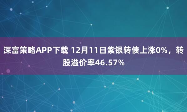 深富策略APP下载 12月11日紫银转债上涨0%，转股溢价率46.57%